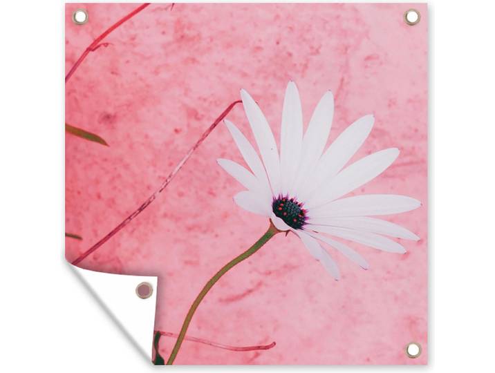 Tuinposter - Bloem - Vintage - Muur - Roze - Tuin decoratie - 200x200 cm - Tuindoek