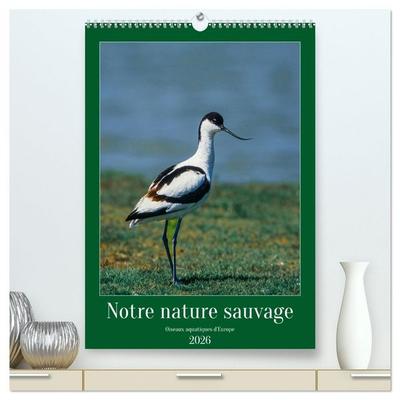 Notre nature sauvage, oiseaux aquatiques d'Europe (Calendrier mural 2026 DIN A2 horizontal) calendrier de bureau