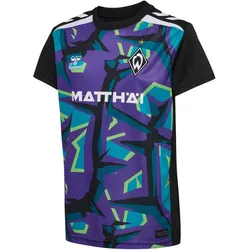 hummel SV Werder Bremen Torwarttrikot 2026/27 4895 - tillandsia purple wo sleeve XL