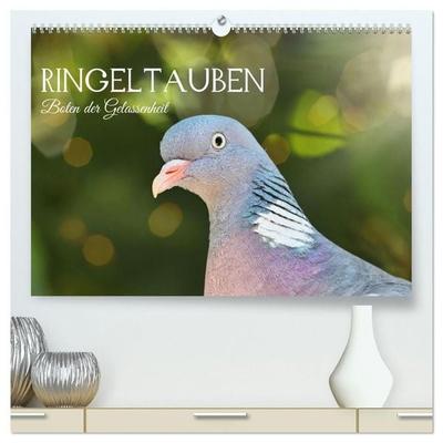 Ringeltauben, Boten der Gelassenheit (hochwertiger Premium Wandkalender 2027 DIN A2 quer), Kunstdruck in Hochglanz