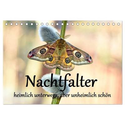 Nachtfalter - heimlich unterwegs, aber unheimlich schön (Tischkalender 2026 DIN A5 quer), CALVENDO Monatskalender
