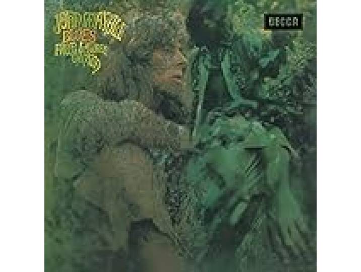 Blues from Laurel Canyon
