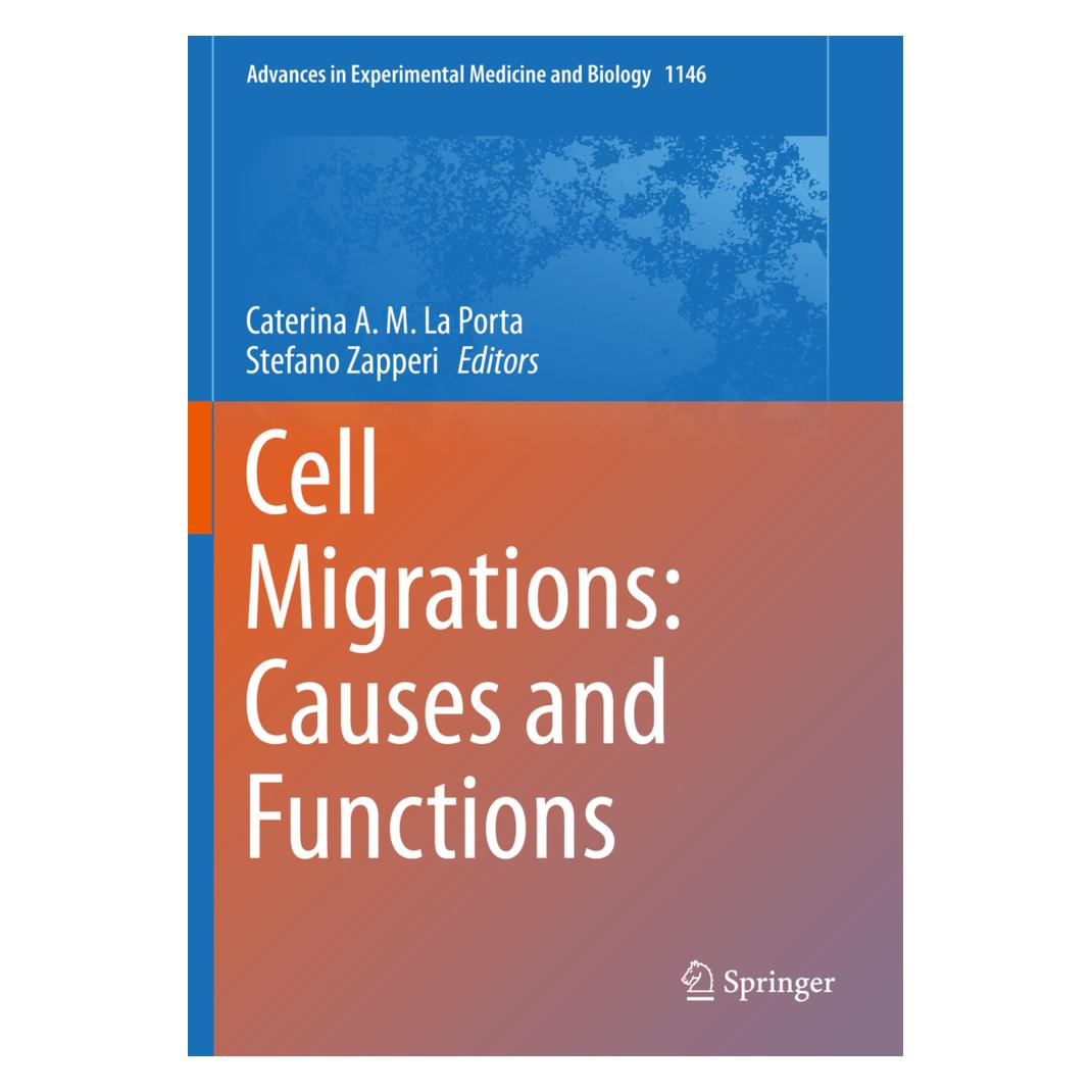 Springer Cell Migrations: Causes and Functions (Englisch, Softcover, Caterina A. M. La Porta, Stefano Zapperi) (56161336)