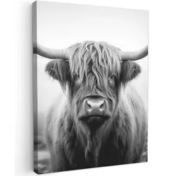 LEINWANDBILD Schottischer Highlander - Nebel - Schwarz - Weiß Wandbild Wohnzimmer 60x80 cm