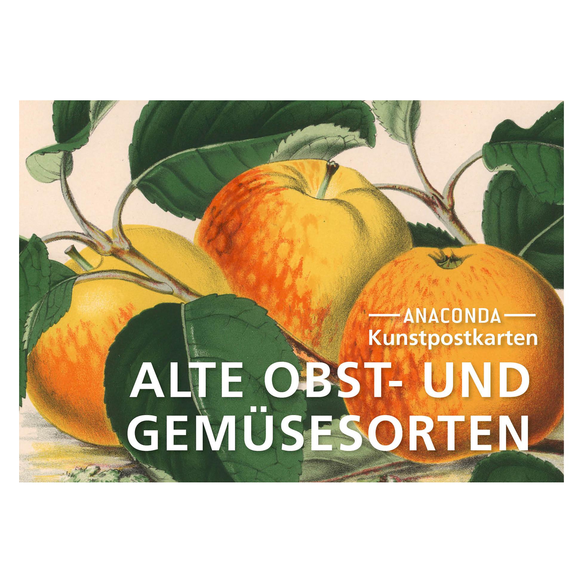 Anaconda Postkarten-Set Alte Obst- und Gemüsesorten (20 Stk.) (41457826)