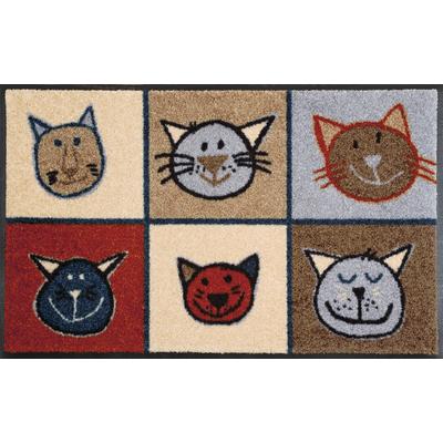 Fußmatte "Miau Miau" Gr. 2, bunt, B:50cm H:7mm L:75cm, Kunstfaser, WASH+DRY BY KLEEN-TEX, Teppiche, Fußmatte, Schmutzfangmatte, Motiv Katzen, rutschhemmend, waschbar