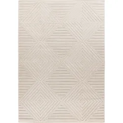 Teppich VIVA IVORY (BL 120x170 cm) - BL 120x170 cm