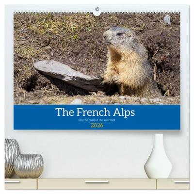 The French Alps, on the trail of the marmot (High Quality Premium Wall Calendar 2026 DIN A2 landscape),CALVENDO 12 Month Wall Calendar