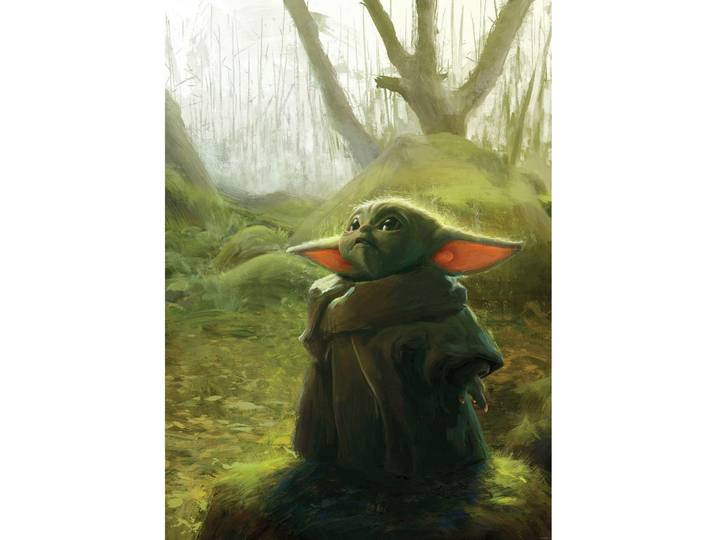 FOTOTAPETE MANDALORIAN GROGU ACRYLIC