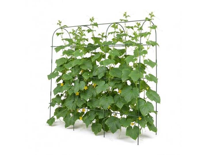 Treillis Relaxdays pour Plantes grimpantes\, métal avec Filet et Accessoires\, HxLxP: 182x183x43 cm\, légumes\, Vert