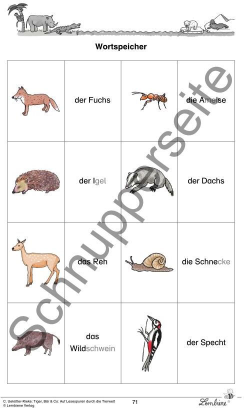 Lernbiene Tiger, Bär & Co: Auf Lesespuren durch die Tierwelt