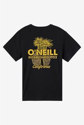 O'Neill s Landmark Ca Classic T-Shirt in Black, Size Small