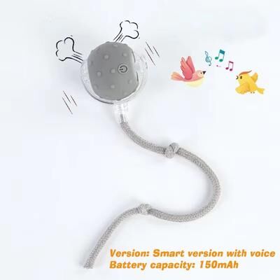 Inspired Finds Smart Roll Play Cat Ball Toy USB Rechargeable Automatic Interactive For Cats 2025 Smart Version gray Ball With Sound