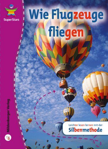 Robert Sheehan - SuperStars - Sachtexte: Wie Flugzeuge fliegen - Preis vom 09.10.2026 07:28:09 h