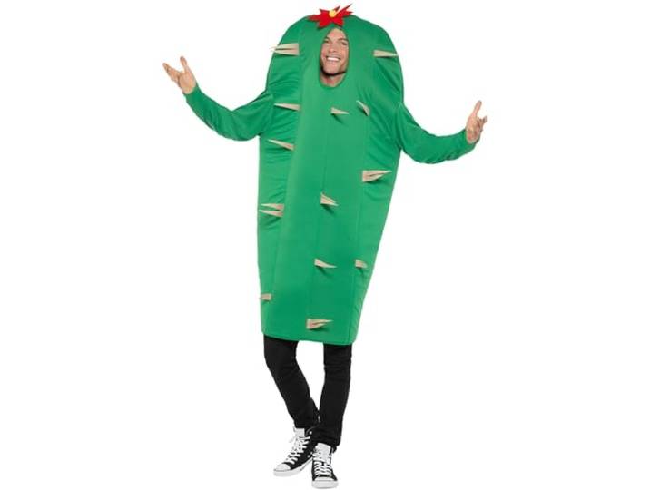 Cactus Costume