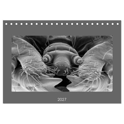 Erlebnis Mikrokosmos (Tischkalender 2027 DIN A5 quer), CALVENDO Monatskalender