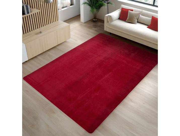 Carpetsale24 Tapis Rouge 120x160 cm Lavable Antidérapant et Doux tapis uni Salon et Chambre
