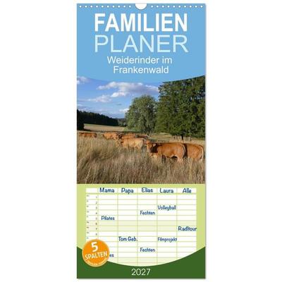 Familienplaner 2027 - Weiderinder im Frankenwald mit 5 Spalten (Wandkalender, 21 x 45 cm) CALVENDO