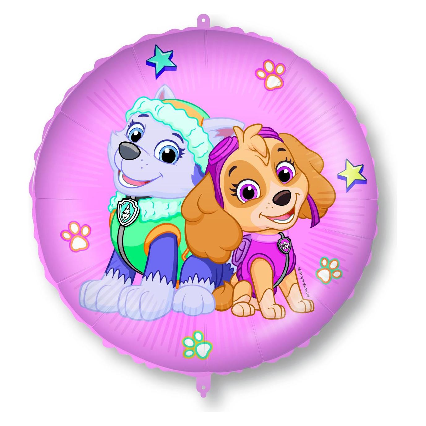 Magni Procos 92976 - Folienballon Paw Patrol Skye und Everest, Durchmesser circa 46 cm, Helium, Luft, Ball (1x) (GN92976)