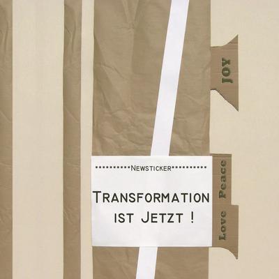 Transformation ist jetzt! Ein Buch wie ein Portal: für alle, die sich dem Leben mit offenem Herzen und wachem Geist stellen., Taschenbuch von Petra