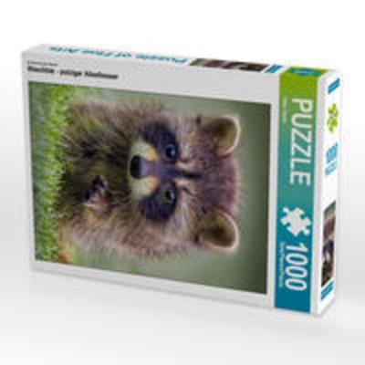 CALVENDO Puzzle Ein Motiv aus dem Kalender Waschbär - putziger Allesfresser | 1000 Teile Lege-Größe 64x48cm Foto-Puzzle für glückliche Stunden