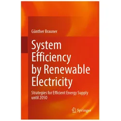 System Efficiency by Renewable Electricity, Fachbücher von Günther Brauner