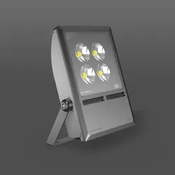 RZB LED-Strahler 721718.1131.1