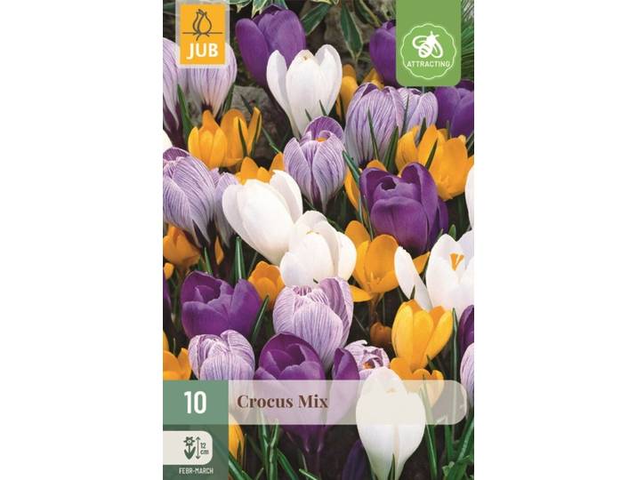 Krokus grootbloemig mix 10 bollen