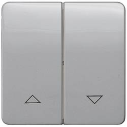 Siemens Schalterprogramm 2fach Abdeckung Wippe Silber 5TG7934 1 St.
