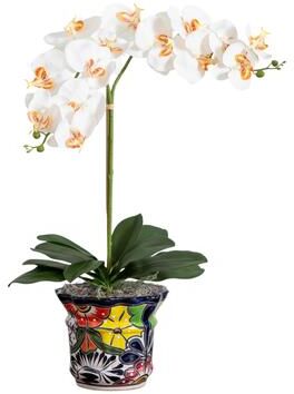 Nearly Natural "26"" Artificial Double Orchid Arrangement in Handmade Talavera Planter - White"
