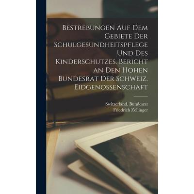 Bestrebungen auf dem Gebiete der Schulgesundheitspflege und des Kinderschutzes. Bericht an den hohen Bundesrat der schweiz. Eidgenossenschaft,
