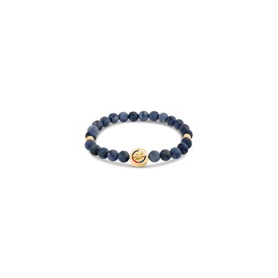 Armband TOMMY HILFIGER "COMPASS", blau (gelbgoldfarben, weiß, rot, blau, blau), Armbänder, Herren, Edelstahl, Armband, mit Sodalith oder Onyx - Emaille
