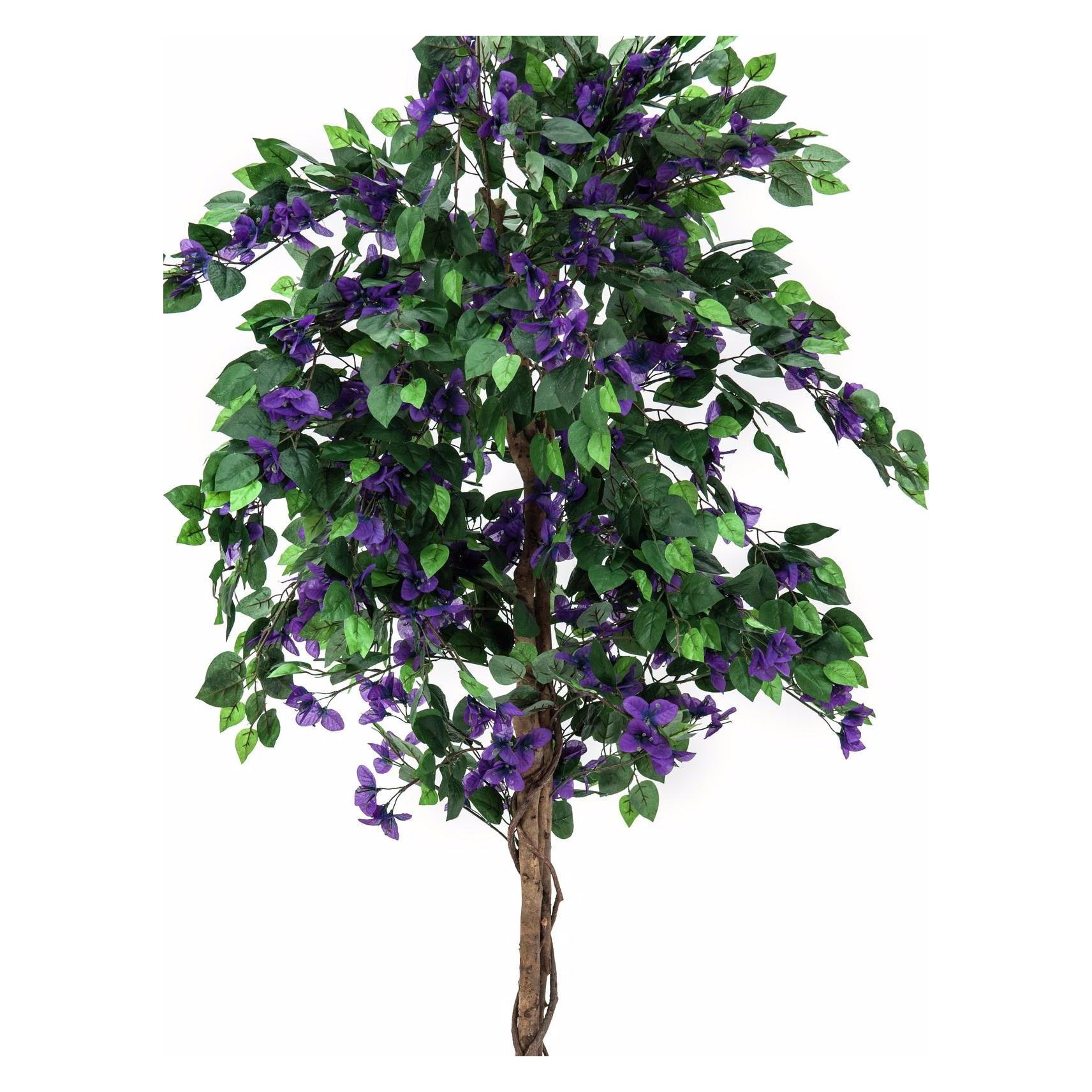 Europalms Bougainvillea (150 cm) (82507035)