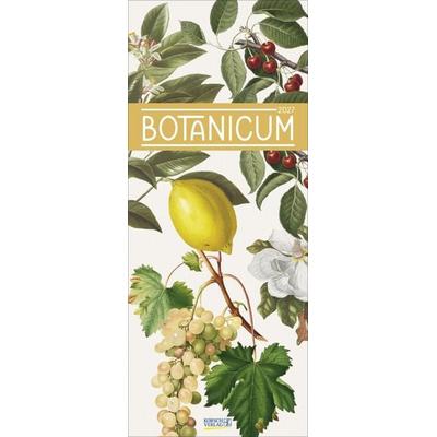 Botanicum 2027