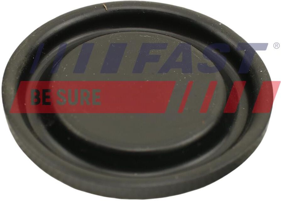 Fast Membran, Kurbelgehäuseentlüftung Ft60102 Für Ford Citroën