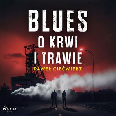 Blues o krwi i trawie - Paweł Ciećwierz, Audio, 4071498829233