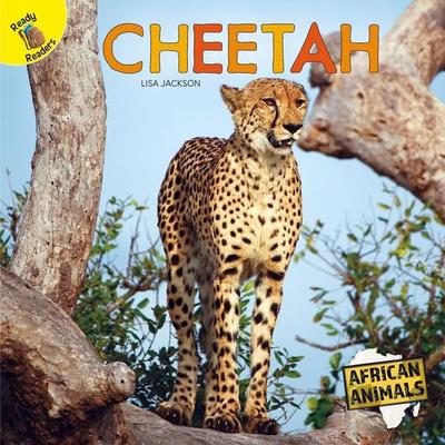 Cheetah, Taschenbuch von Lisa Jackson, Carson Dellosa Publishing, 978-1-73160-563-4