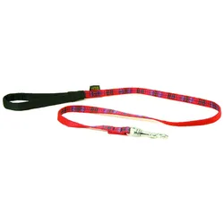 Arka Kilt (Hund, Allgemein, Spazieren), Halsband + Leine