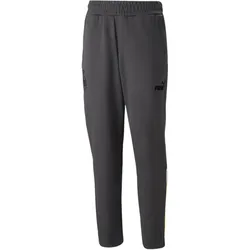 Puma, Herren, Sporthose, BVB FtblArchive Track Pants (XL), Grau