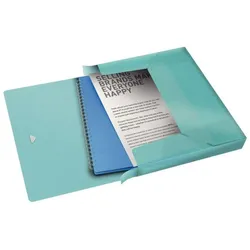 Leitz, Mappe, Ablagebox (A4, 5x)
