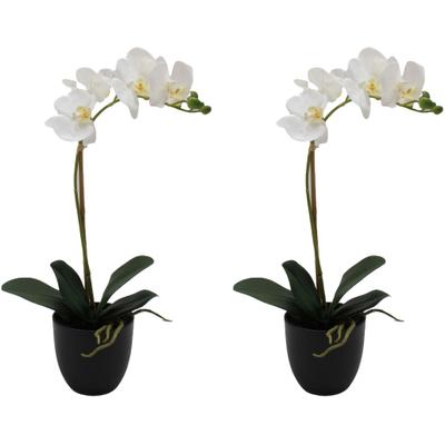 Kunstorchidee CREATIV GREEN "Orchidee Phalaenopsis", weiß, H:45cm, Kunststoff, Kunstpflanzen, mit täuschend echten Blüten