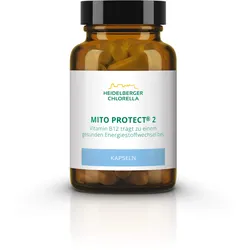 Mito Protect 2 36 G