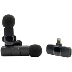 RealPower HS-1,Wireless Microphone,2 Mikrofone,1 Empfänger