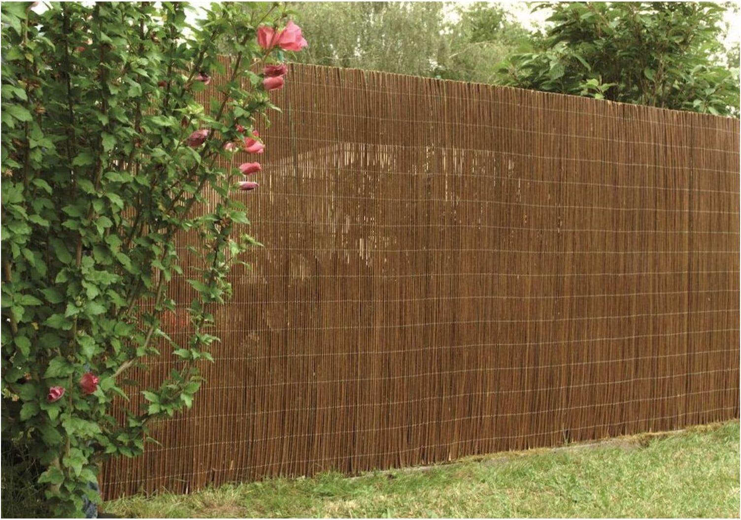 floraworld Sichtschutz Weide300 x 18 0 cmclassic (011428)