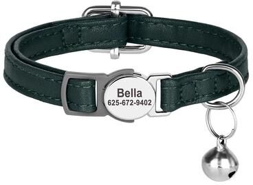 Uplifted Finds Struc Guard Personalized Safety Collar green