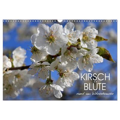 Kirschblüte rund um Witzenhausen (Wandkalender 2027 DIN A3 quer), CALVENDO Monatskalender