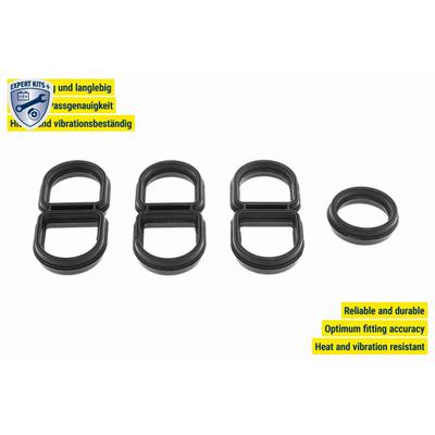 VEMO Dichtung, Ölkühler V15-60-96062 für VAG VW