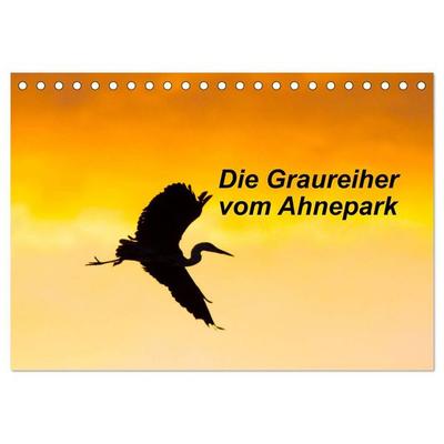 Die Graureiher vom Ahnepark (Tischkalender 2027 DIN A5 quer), CALVENDO Monatskalender