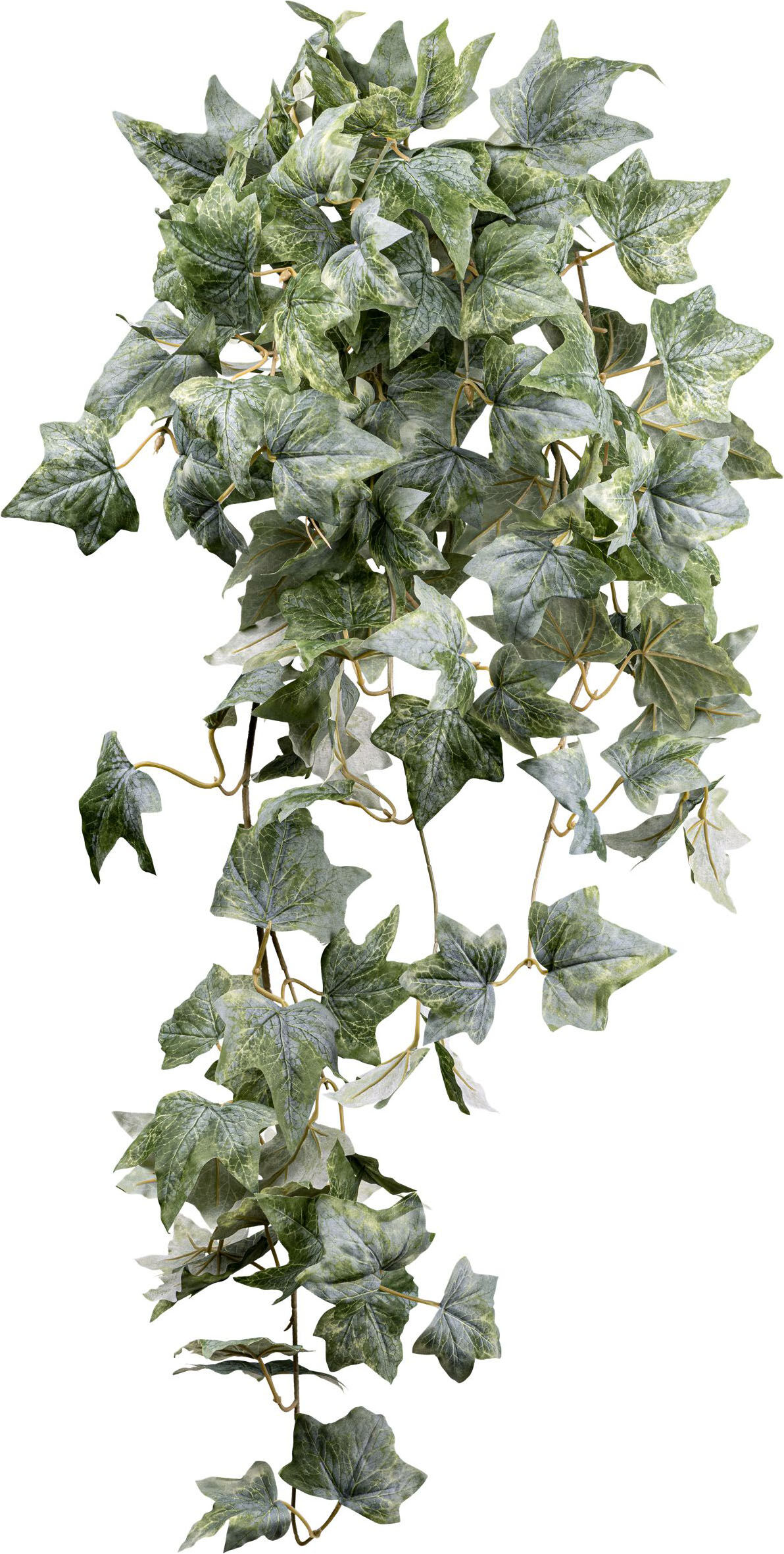 Kunstranke CREATIV GREEN "Efeu-Hängepflanze", weiß, H:96cm, Kunstpflanzen, Kunstranke, mit schönem Blattwerk