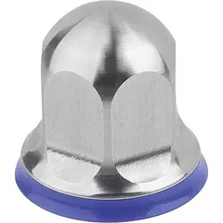 HUTMUTTER HYGIENIC DESIGN, MIT DICHTUNG, M06, SW=10, EDELSTAHL A4 1.4404 UNPOLIERT